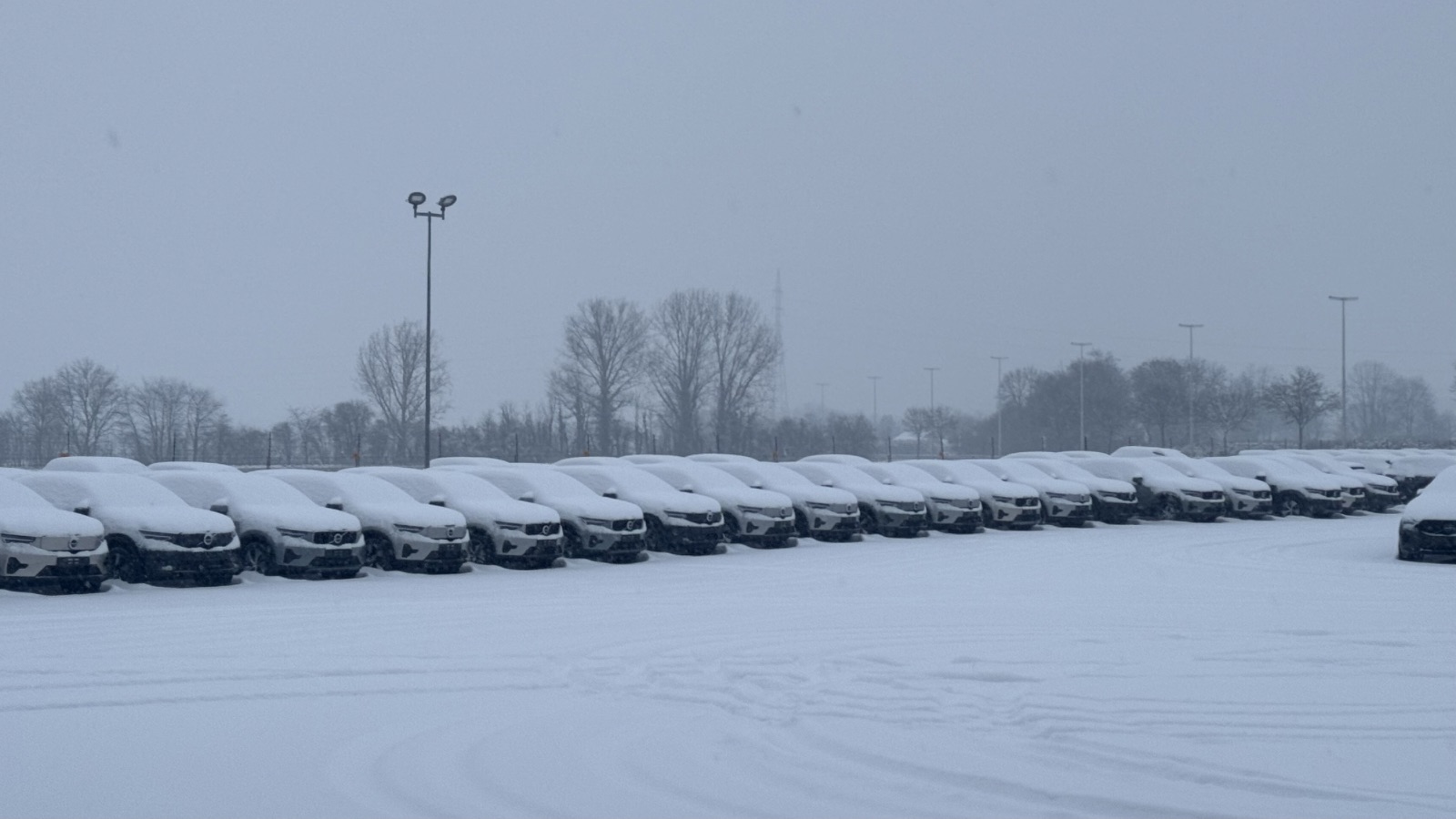Volvo-wagens op een garageparking, klaar voor professionele voertuigverzorging.